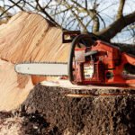 Best 20 inch chainsaw