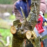 worn out chainsaw